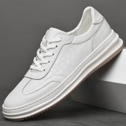 Trenton Hilton Sneakers