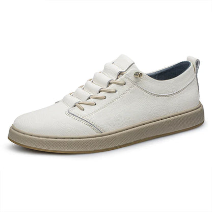 York Oxford Sneakers